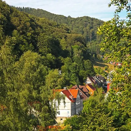 Fewo-lerbachtal * Osterode am Harz