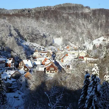 Διαμέρισμα Fewo-lerbachtal Osterode am Harz