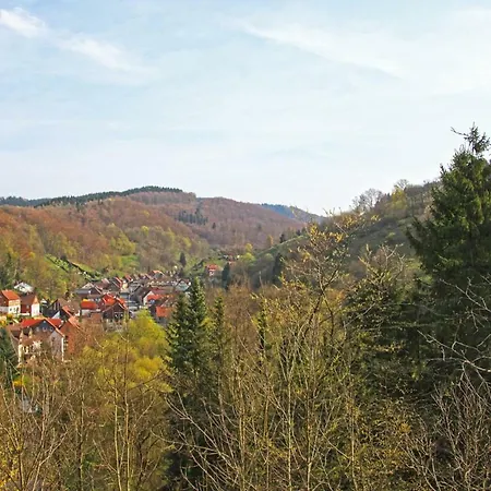 Fewo-lerbachtal *