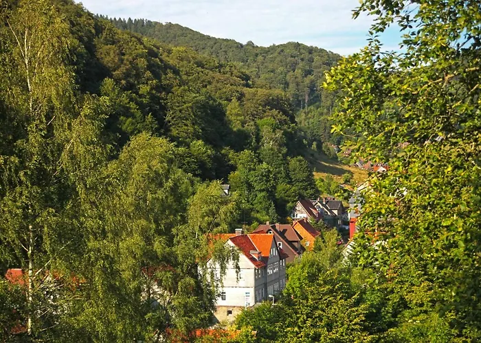 Fewo-lerbachtal * Osterode am Harz