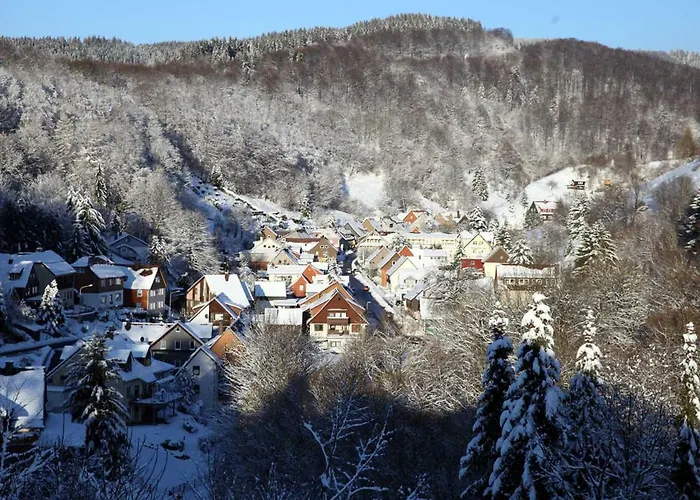 Appartement Fewo-lerbachtal Osterode am Harz