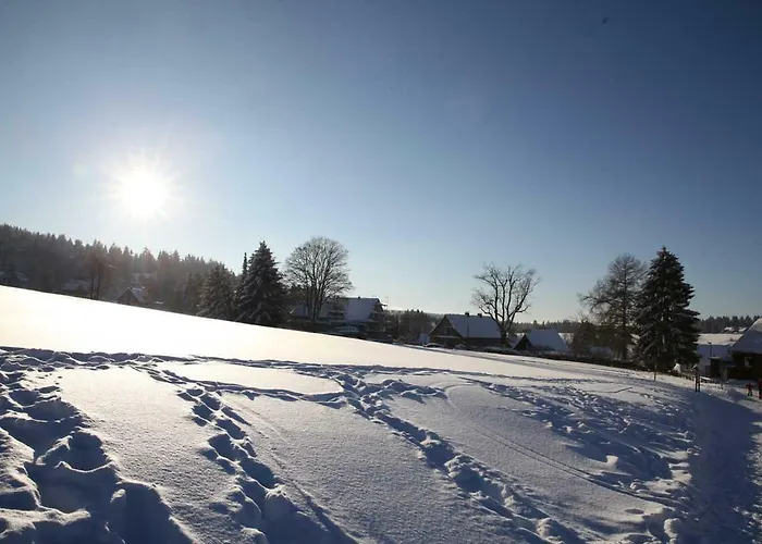Fewo-lerbachtal Appartement Osterode am Harz